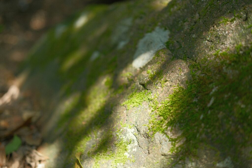 Vintage Artificial Zircon Bracelets Elegant Opening Adjustable Bracelets Fashion Jewelry Party Birthday Gift for Women Vintage artificial zircon bracelets review photo